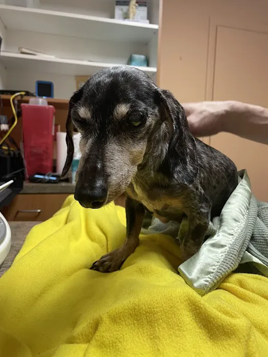 Pet Care Veterinary Hospital Picture 9