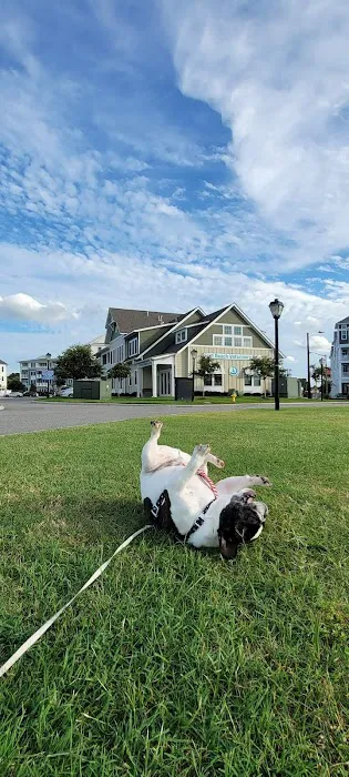East Beach Veterinary Care Picture 8