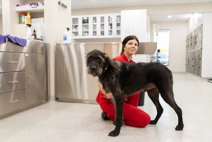 Furgent Care Vet Picture 9
