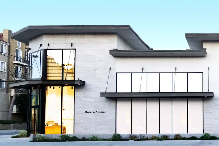 Modern Animal - La Brea Picture 3