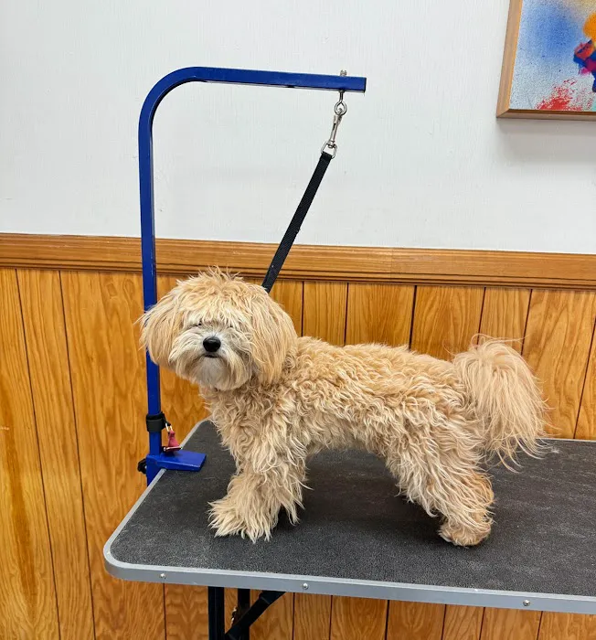Park La Brea Veterinary Care Picture 6