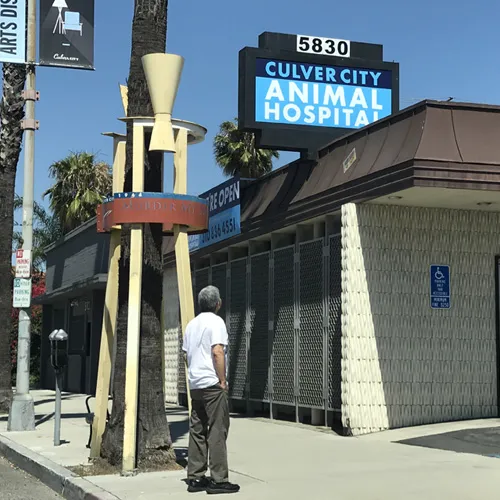 Culver City Animal Hospital Picture 3