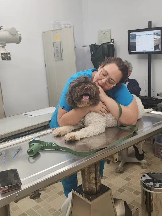 Culver City Animal Hospital Picture 2