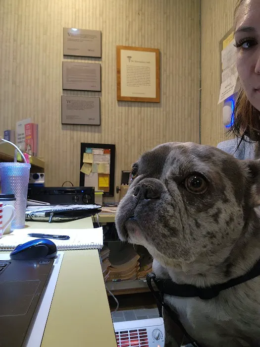 Culver City Animal Hospital Picture 5
