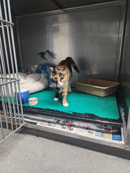 Culver City Animal Hospital Picture 7