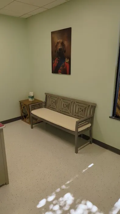AVUE - Affordable Veterinary Ultrasound, Endoscopy, and Internal Medicine Picture 6