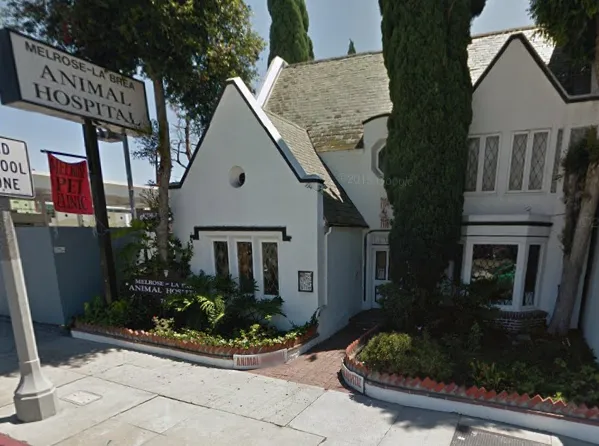 Melrose La Brea Animal Hospital Picture 3