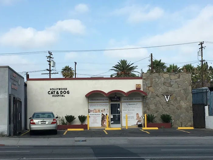 Hollywood Cat And Dog Hospital Picture 3