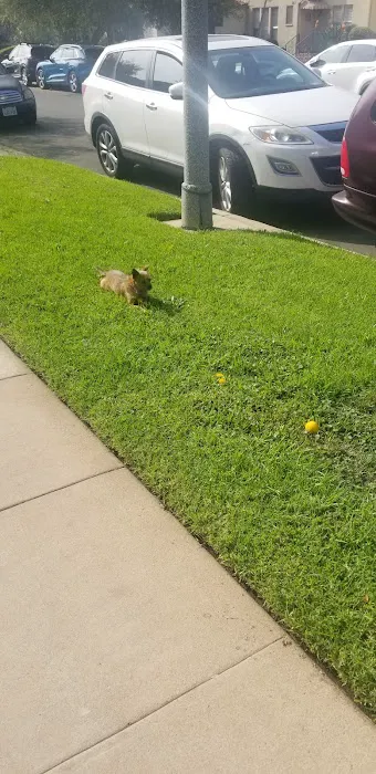 Hollywood Cat And Dog Hospital Picture 7