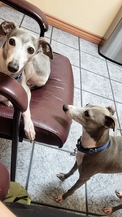 Hollywood Cat And Dog Hospital Picture 8