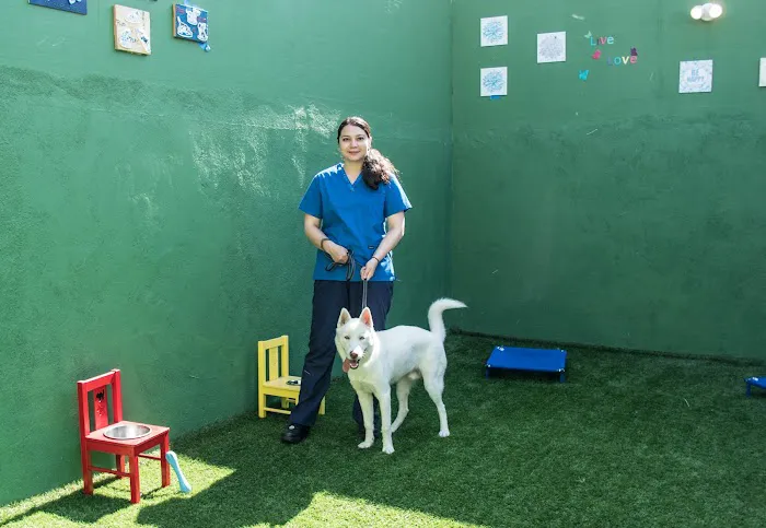 Hollywood Cat And Dog Hospital Picture 10