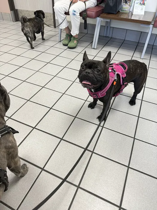 Glendale Small Animal Hospital Picture 3