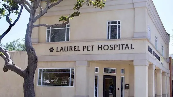 Laurel Pet Hospital Picture 1