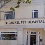 Laurel Pet Hospital