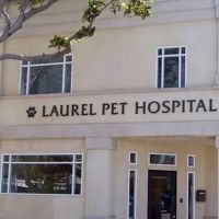 Laurel Pet Hospital ico