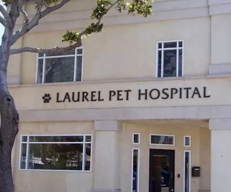 Laurel Pet Hospital