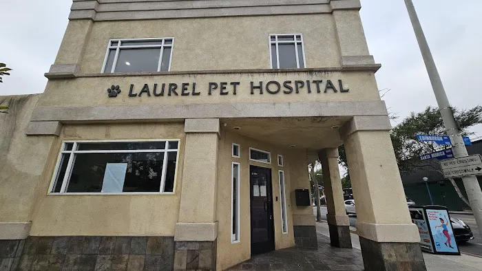 Laurel Pet Hospital Picture 3