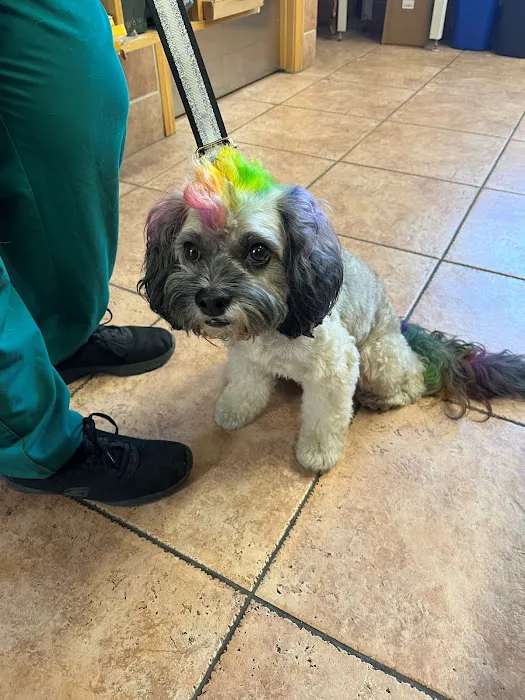 Laurel Pet Hospital Picture 9