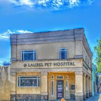 Laurel Pet Hospital: Seoud Moustafa T DVM ico