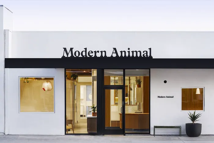 Modern Animal Picture 1