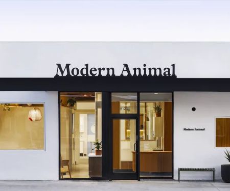 Modern Animal