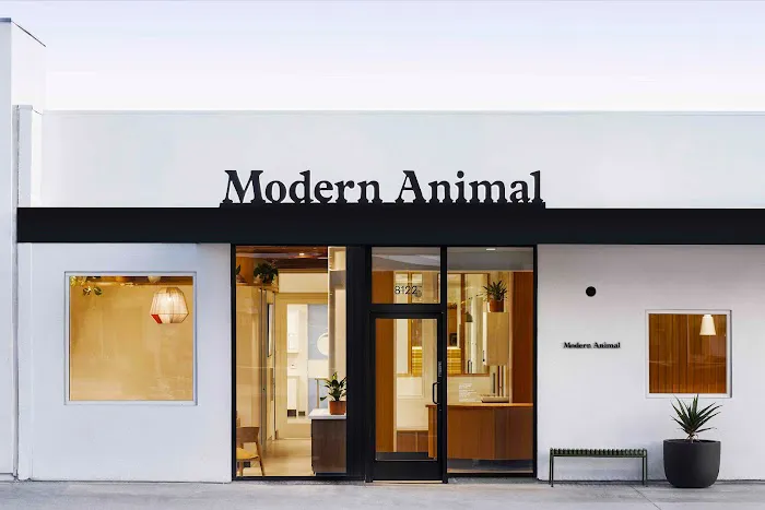Modern Animal Picture 9