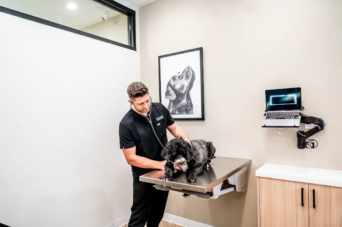 Paw Priority: Veterinary Urgent and Primary Care Picture 7