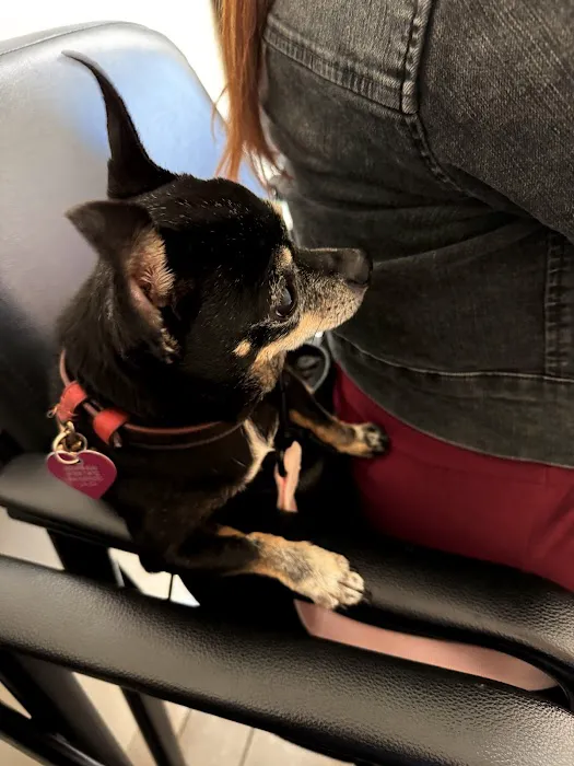 Parkview Pet Clinic, A Thrive Pet Healthcare Partner Picture 5