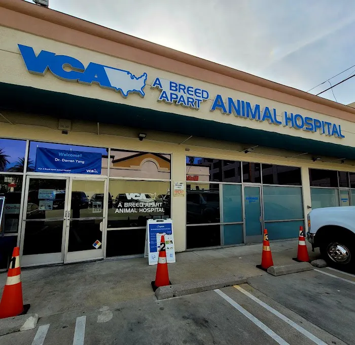 VCA A Breed Apart Animal Hospital Picture 1
