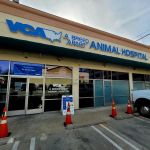 VCA A Breed Apart Animal Hospital