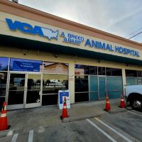 VCA A Breed Apart Animal Hospital ico