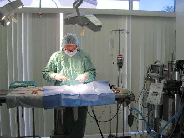 VCA A Breed Apart Animal Hospital Picture 5