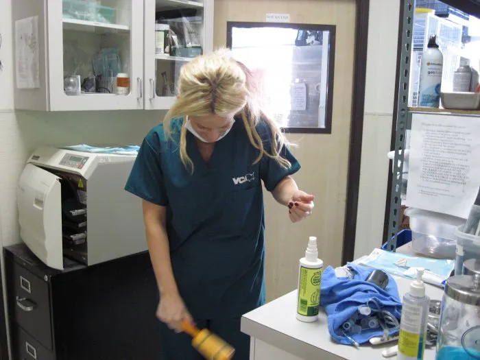 VCA A Breed Apart Animal Hospital Picture 6
