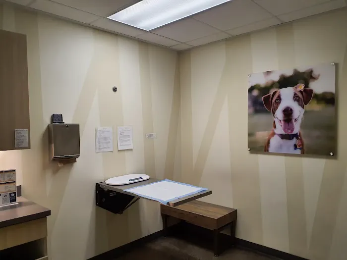 Vetco Total Care Animal Hospital Picture 1