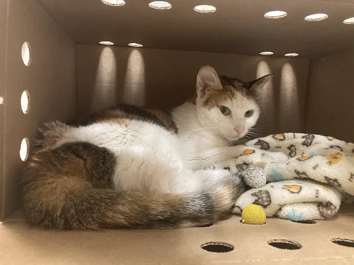 Vetco Total Care Animal Hospital Picture 4