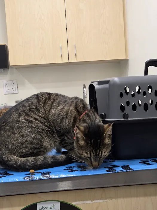 West Main Animal Hospital Picture 6