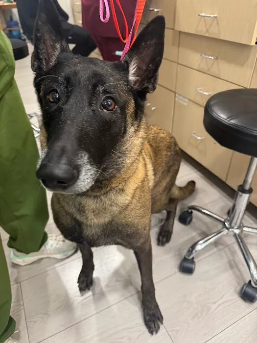 West Main Animal Hospital Picture 5