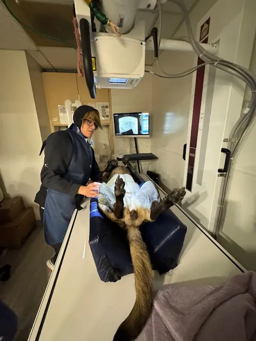 West Main Animal Hospital Picture 9