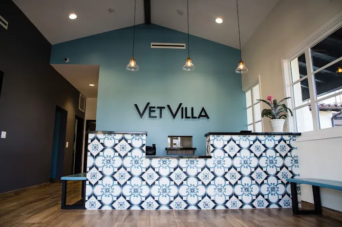 Vet Villa Animal Hospital Picture 2