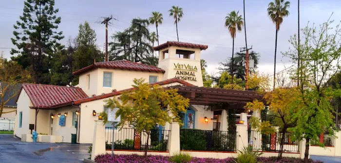 Vet Villa Animal Hospital Picture 4