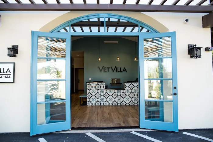 Vet Villa Animal Hospital Picture 10