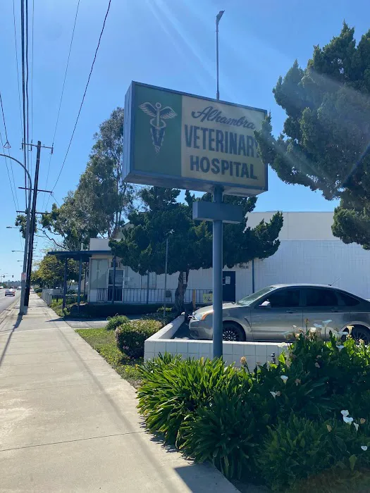 Alhambra Veterinary Hospital Picture 2