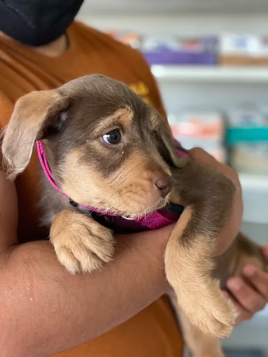 Alhambra Veterinary Hospital Picture 6