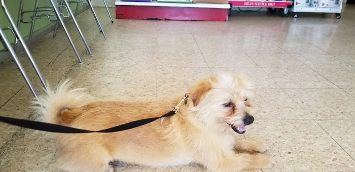 Alhambra Veterinary Hospital Picture 9