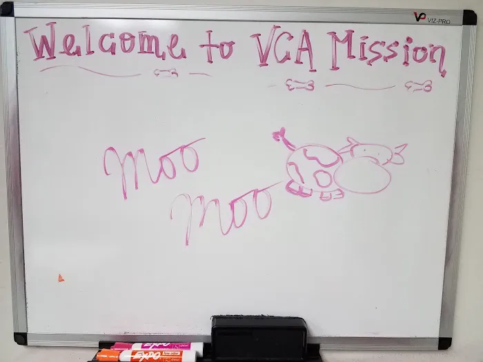 VCA Mission Animal Hospital Picture 4