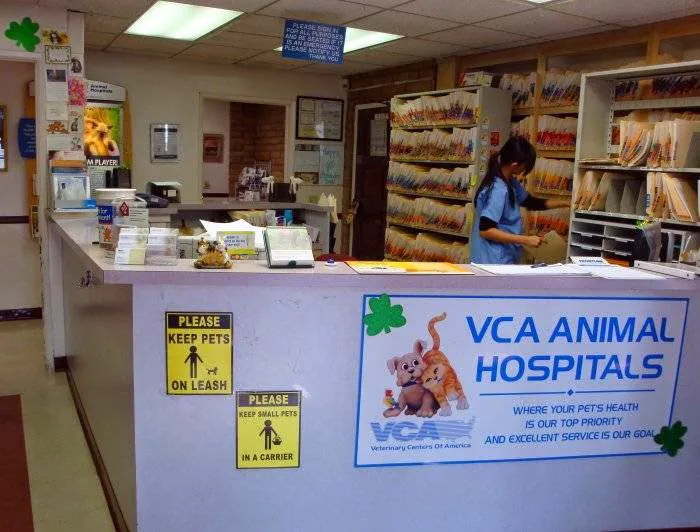 VCA Mission Animal Hospital Picture 1