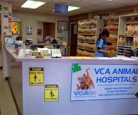 VCA Mission Animal Hospital