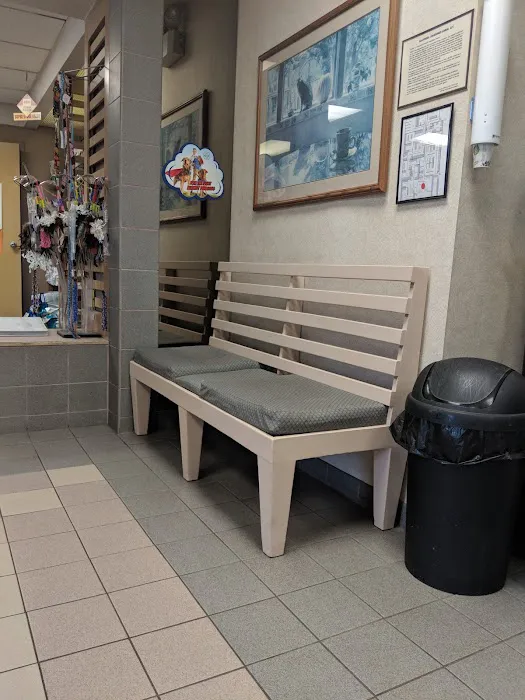 VCA Arden Animal Hospital Picture 6