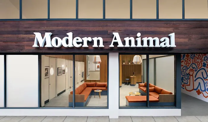 Modern Animal Picture 2