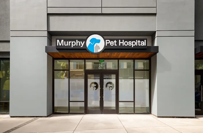 Murphy Pet Hospital Picture 1